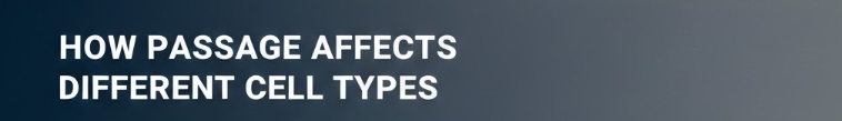 How Passage Affects Different Cell Types.jpg